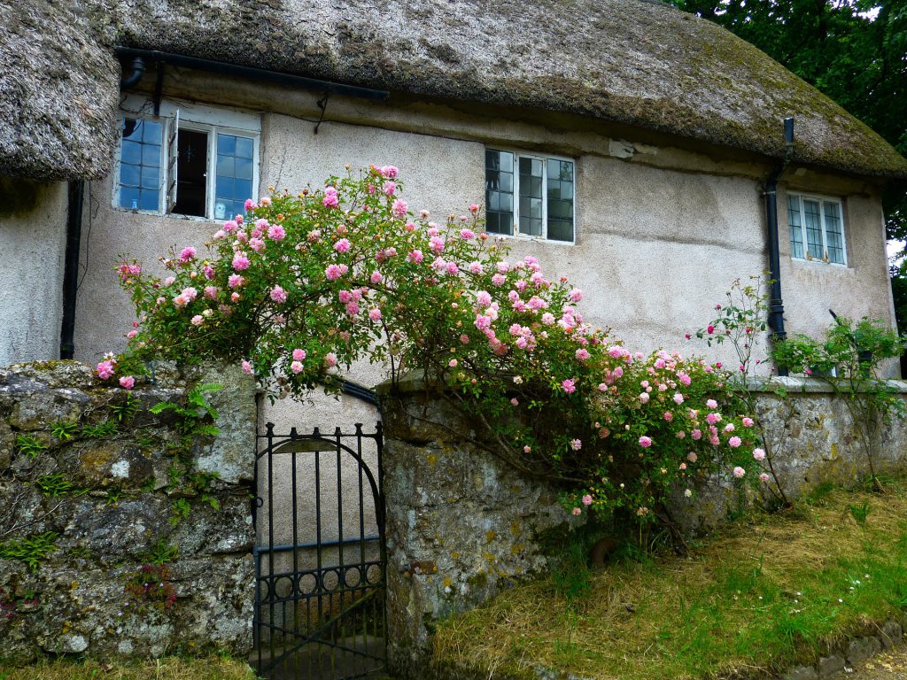 Ein romantischer Garten entsteht Stück für Stück. Hier sieht man eine alte von Rosen umrankte Gartenpforte, die verheißungsvoll und spannend wirkt.