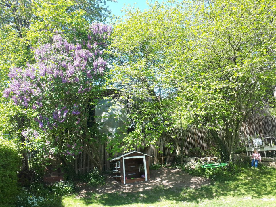 Unser kleines Baumhaus steht geschützt unter den großen Bäumen im Garten.