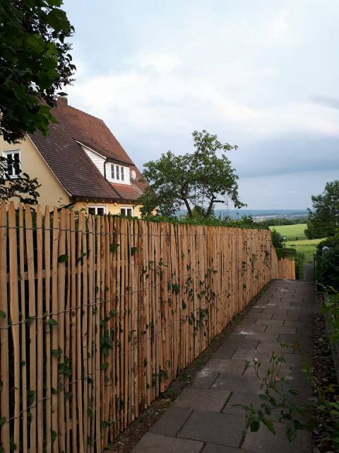 Ein natürlicher Zaun der zum Gartenkonzept und der Umgebung passt.