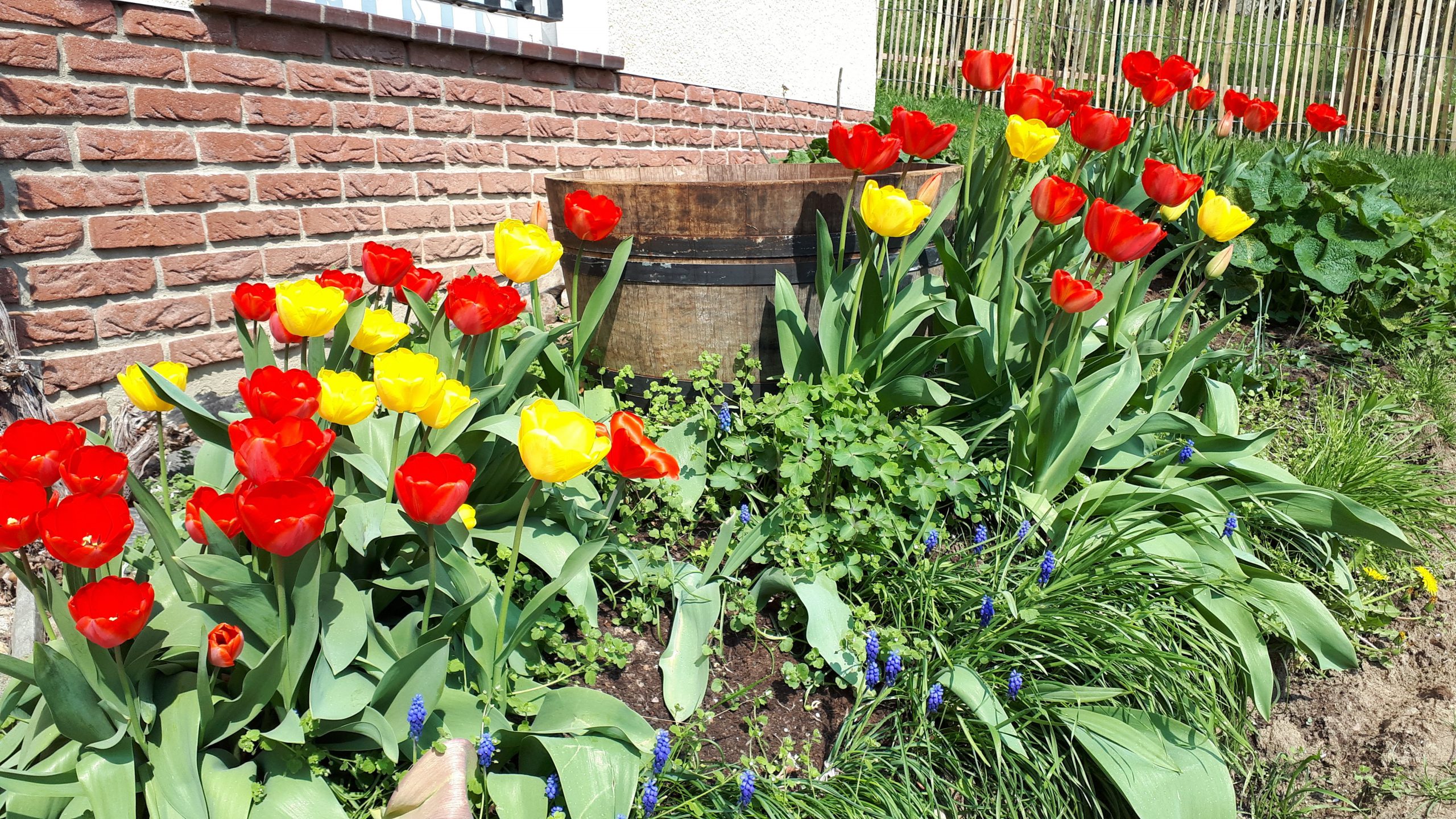 Willkommen im Garten Romantikgarten in Nordhessen