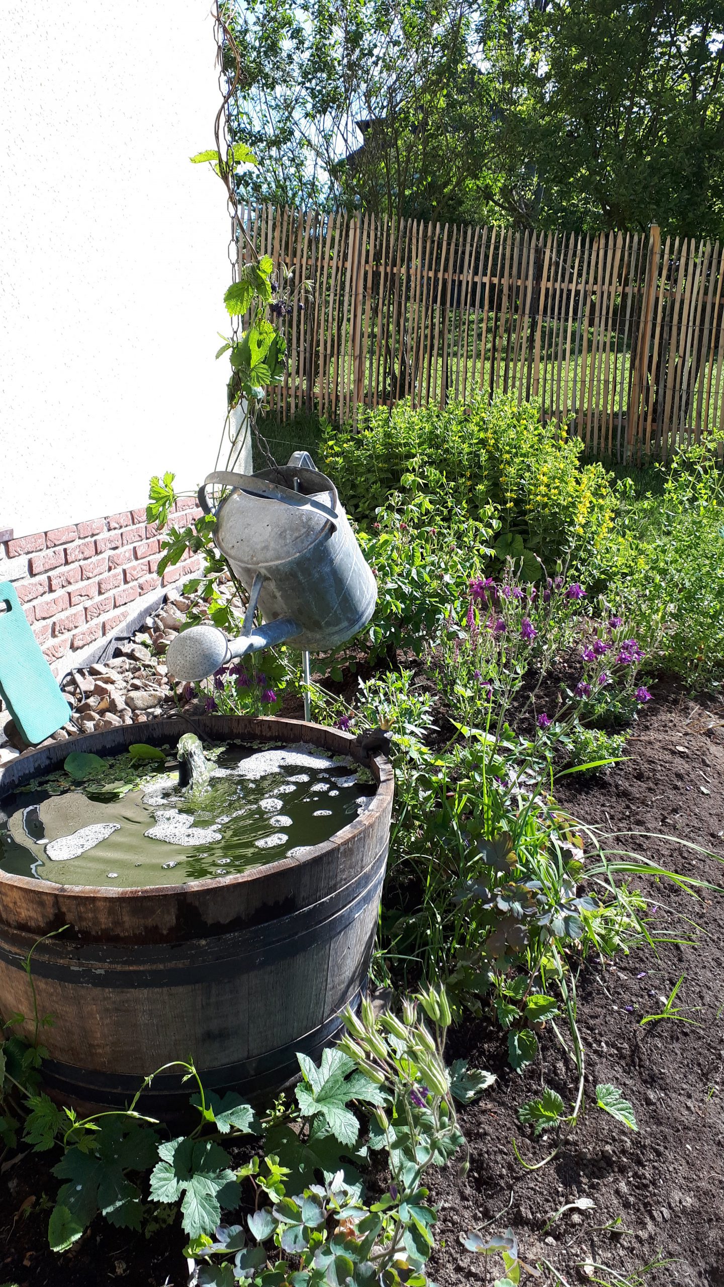 Willkommen im Garten Romantikgarten in Nordhessen