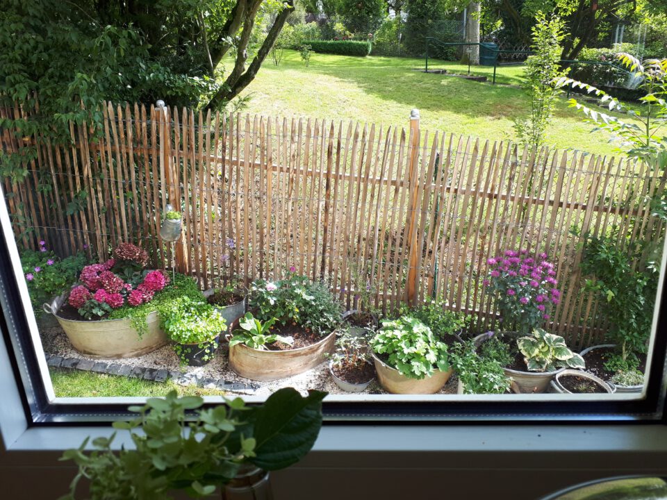 Der Blick aus dem Küchenfenster auf die zahlreichen bepflanzten Zinkwannen.
